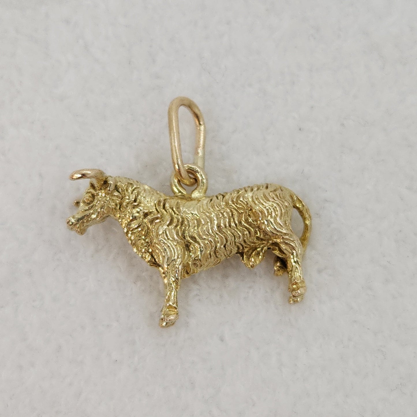 Bull