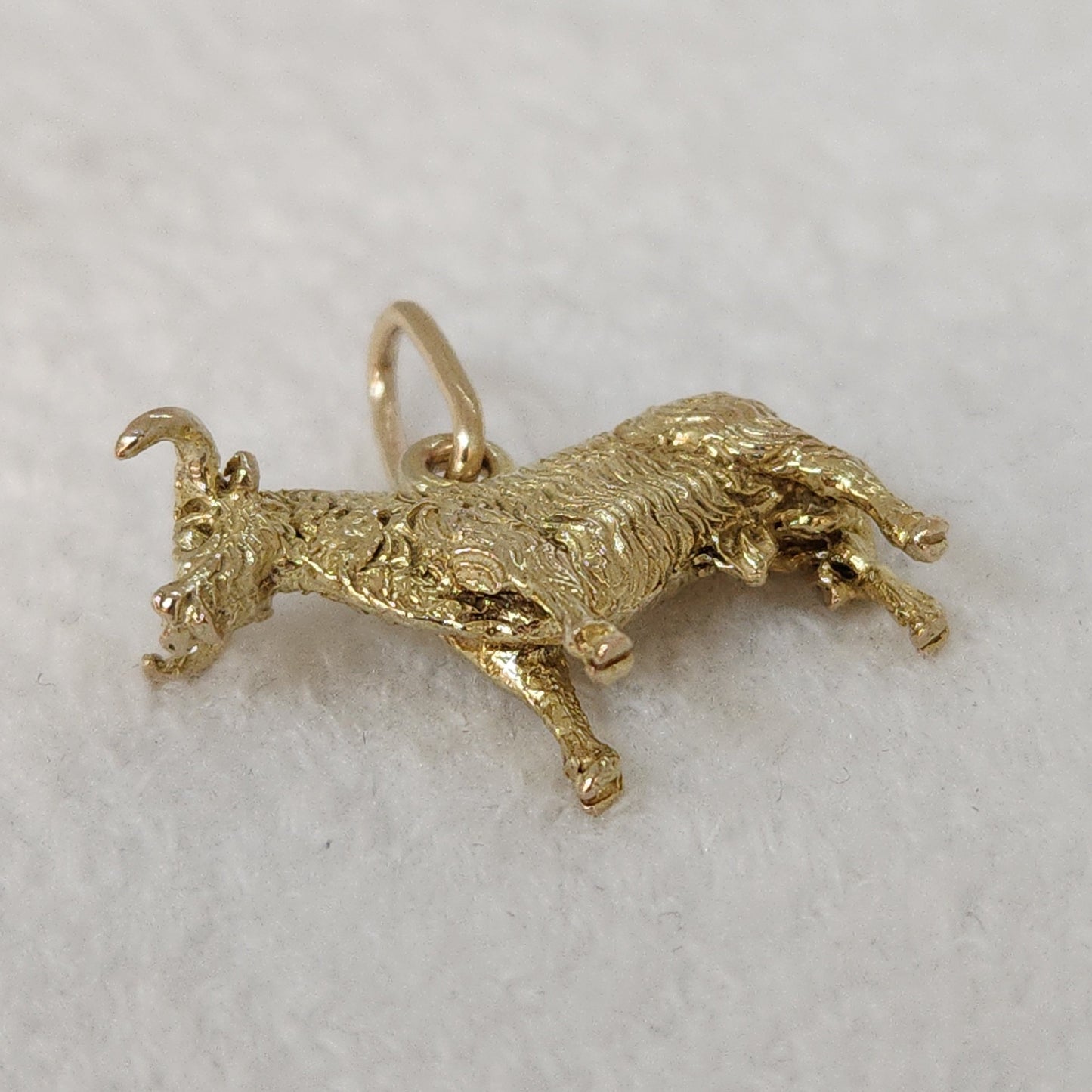 Bull