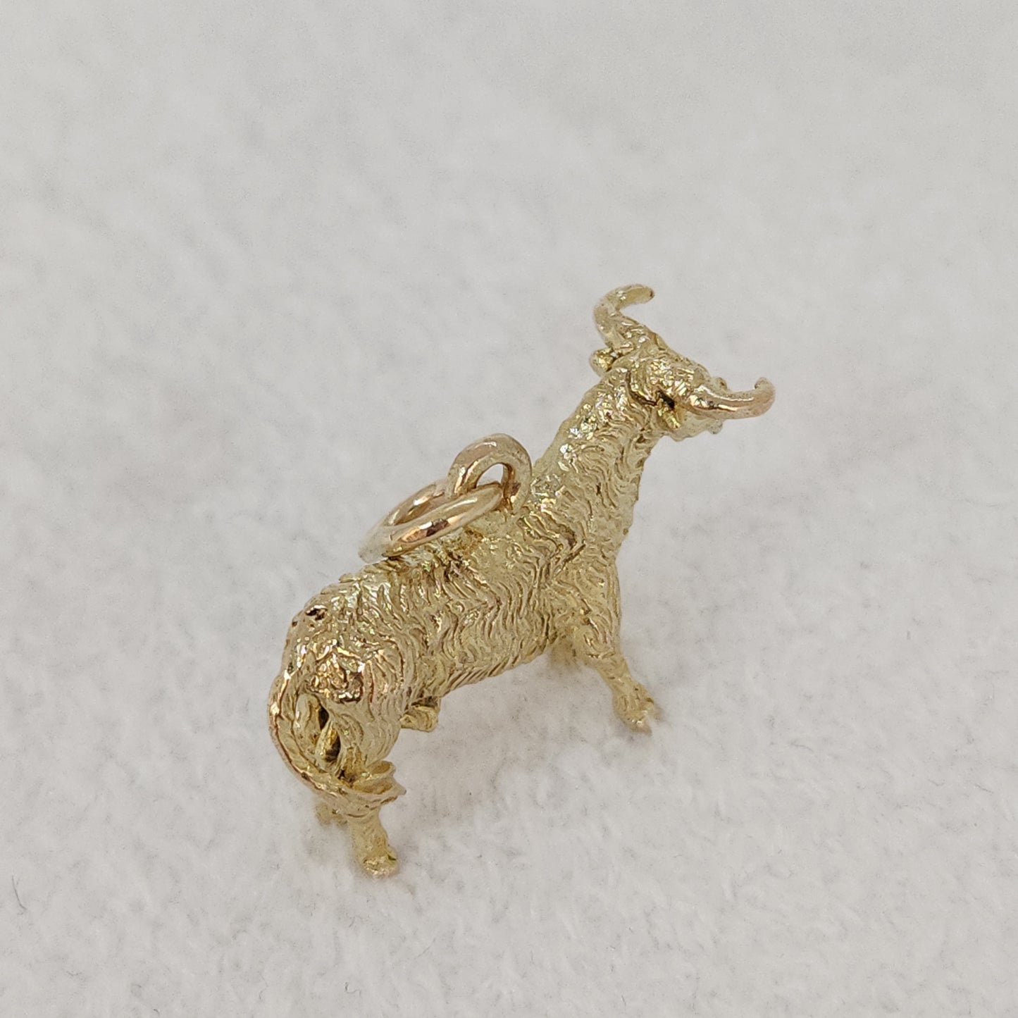 Bull