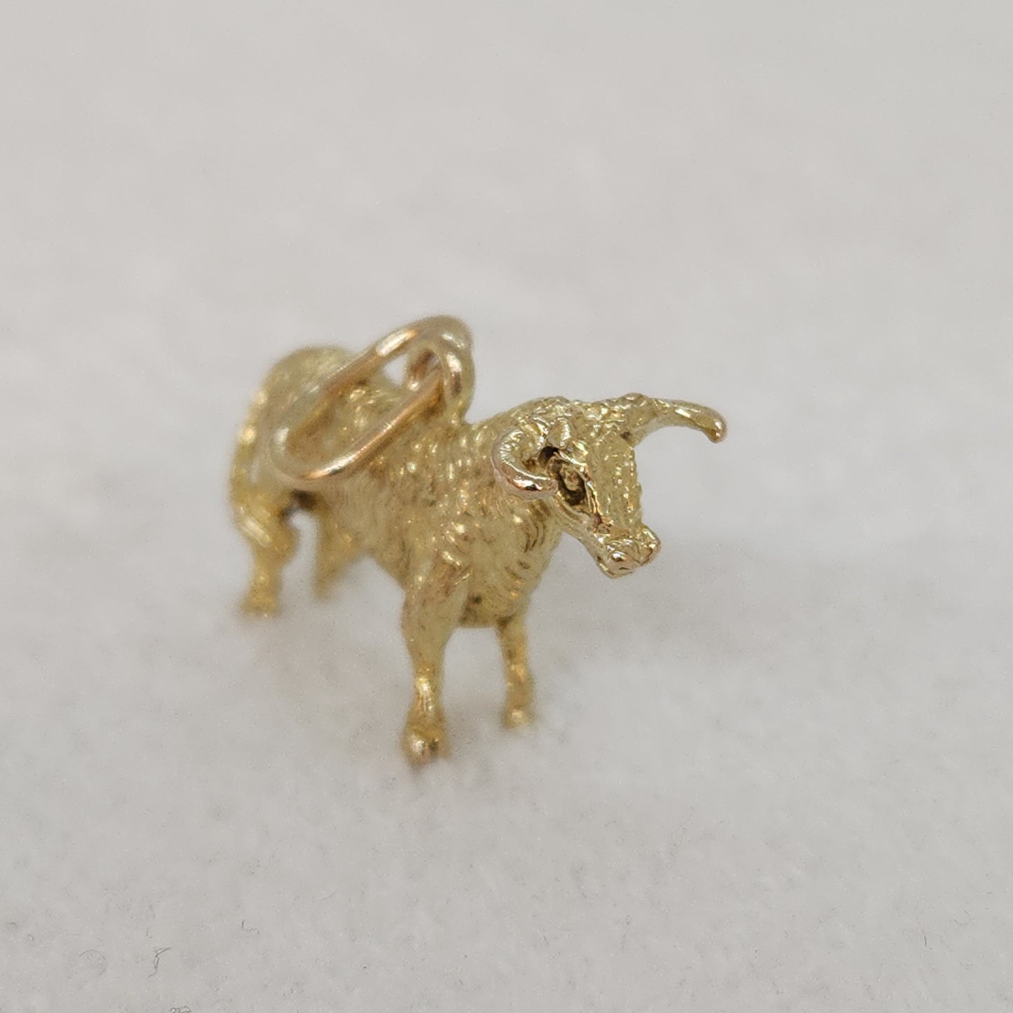 Bull