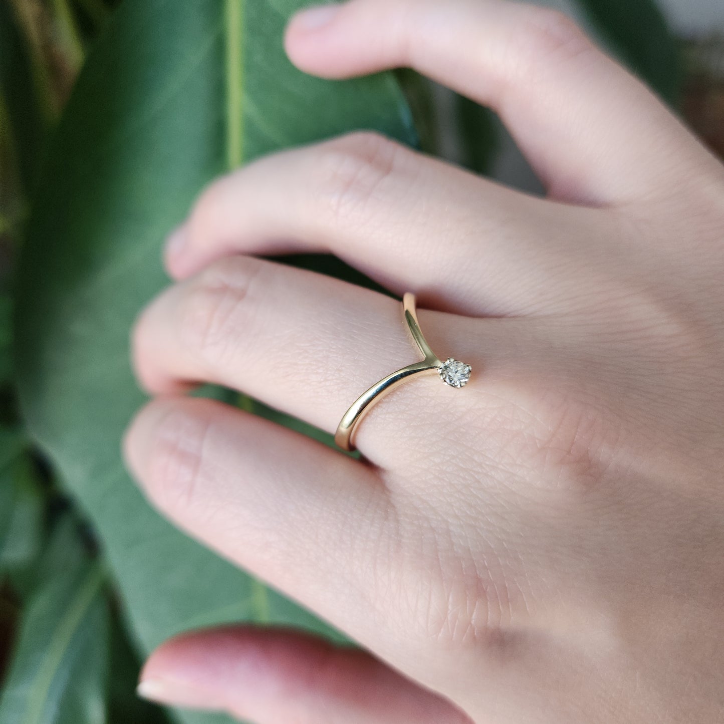 Sparkling Wishbone