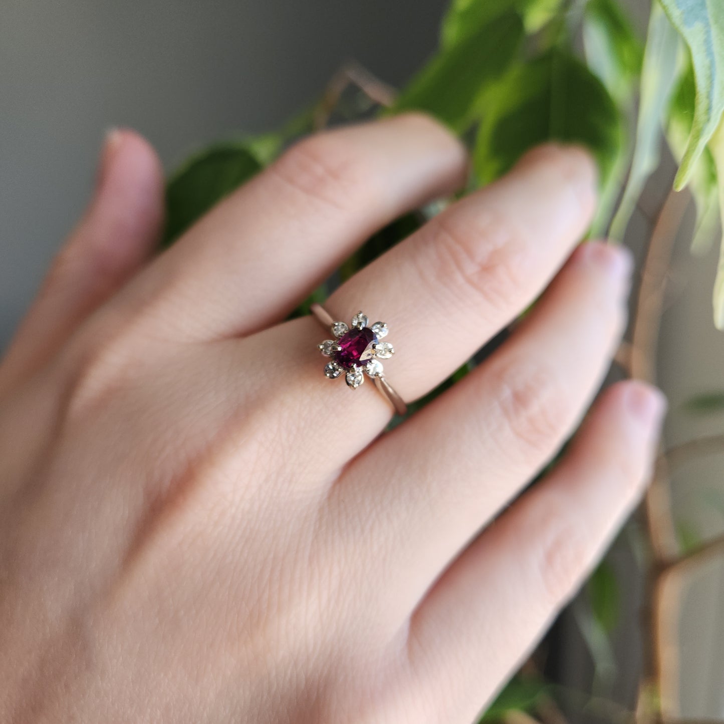 Timeless Ruby Halo
