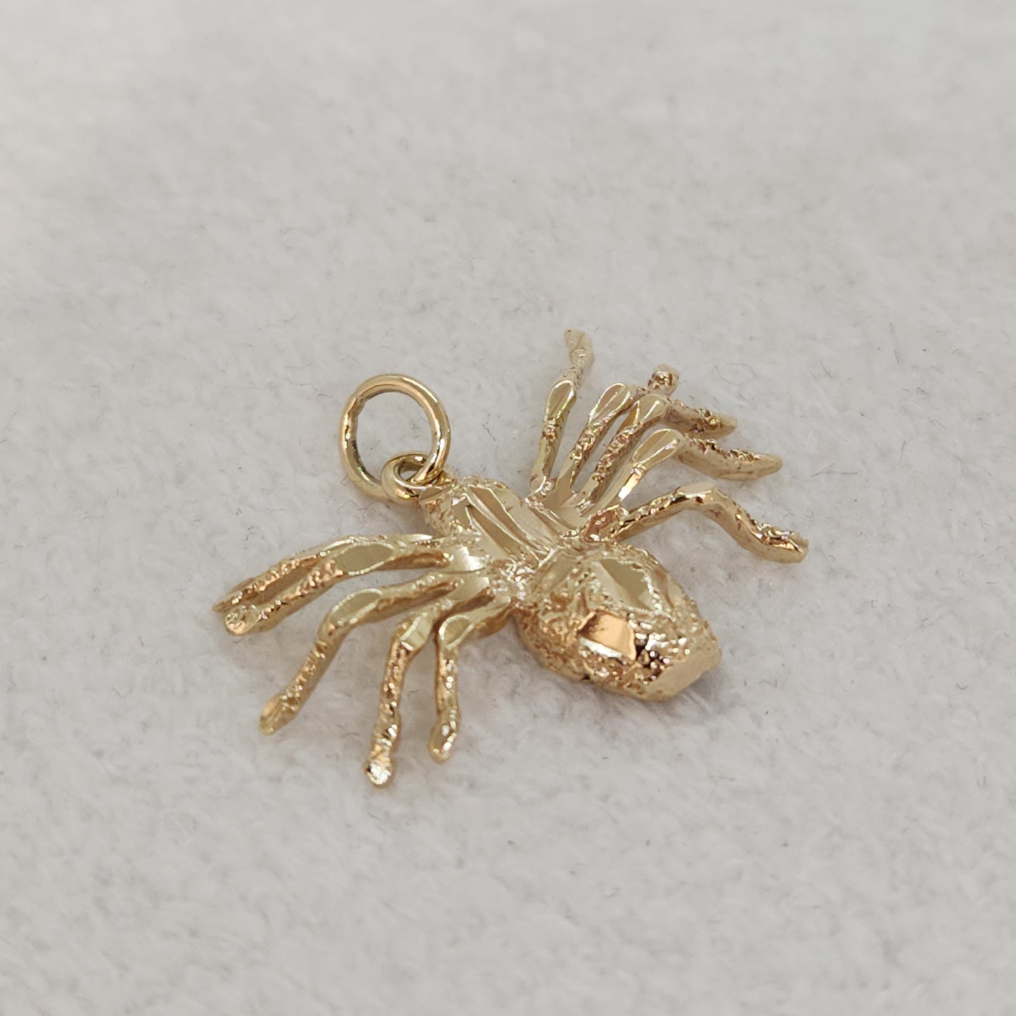 Splendid Spider