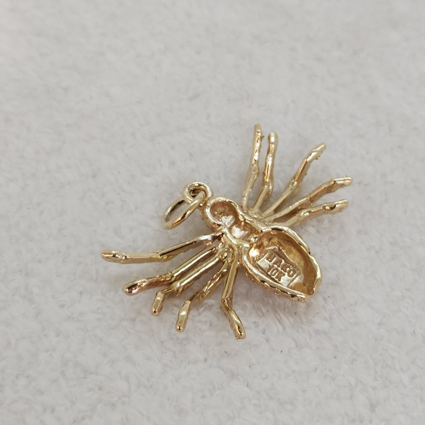 Splendid Spider