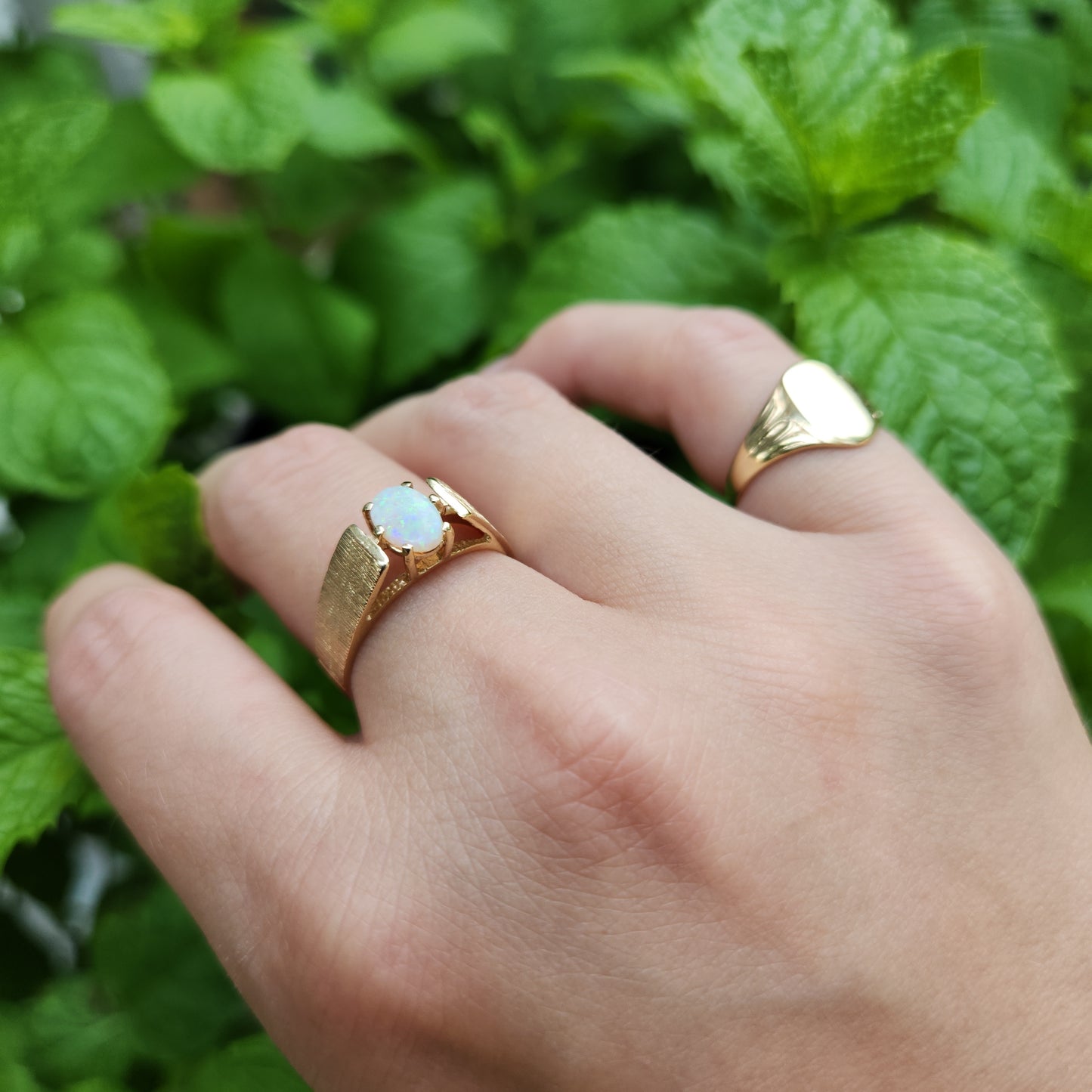 Teeny Tiny Signet
