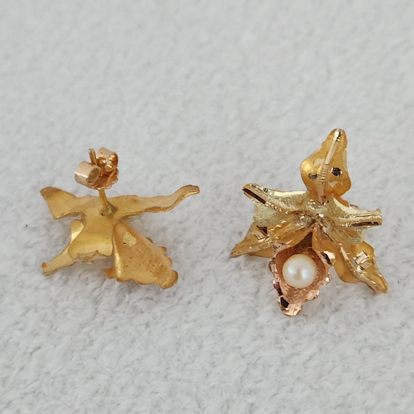 Orchid Lovers Blooms