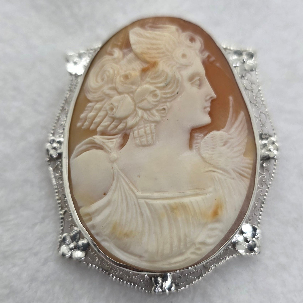 Cameo Appearance