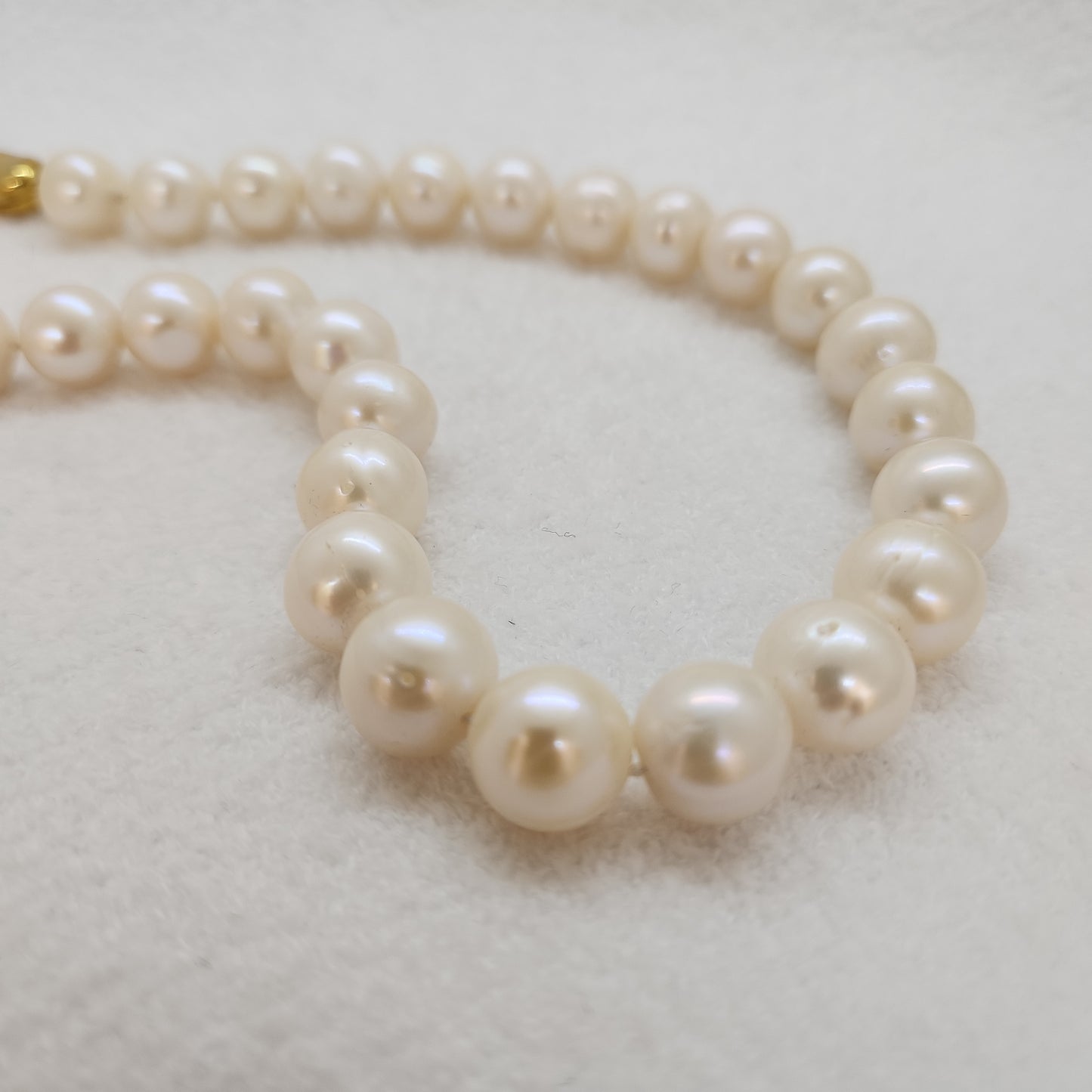 Freshwater Pearl Strand