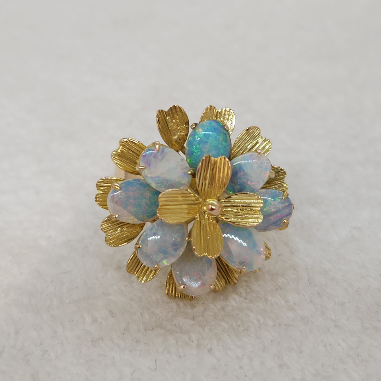Opals in Bloom