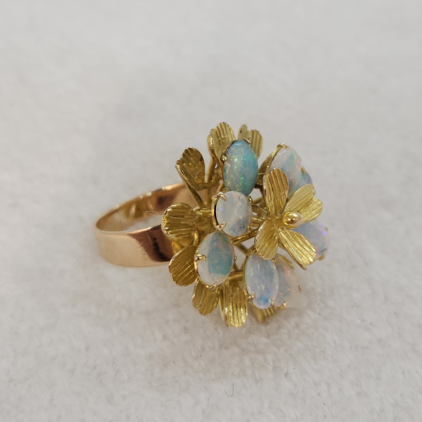 Opals in Bloom