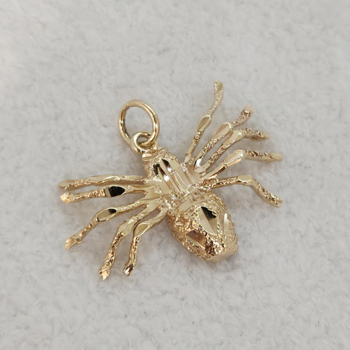 Splendid Spider