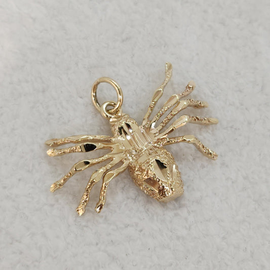 Splendid Spider