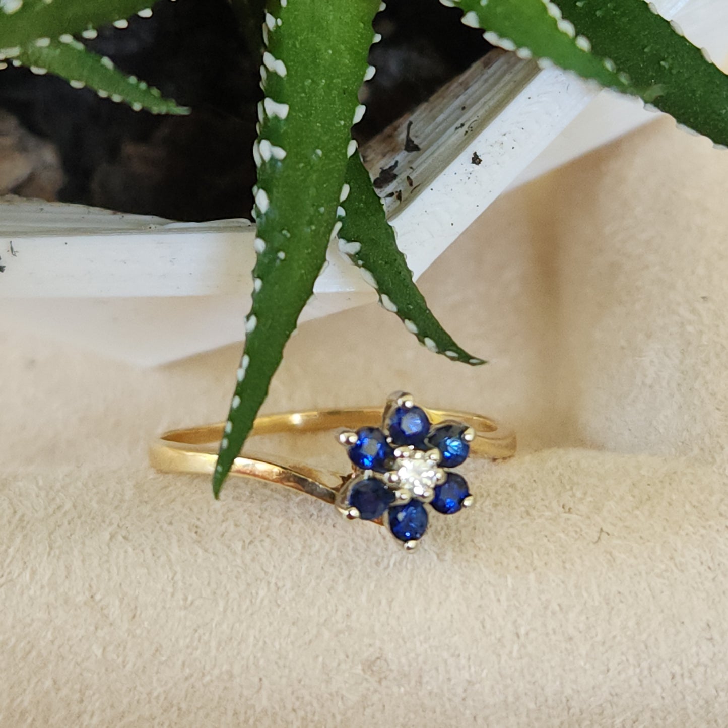 Sapphire Blossom
