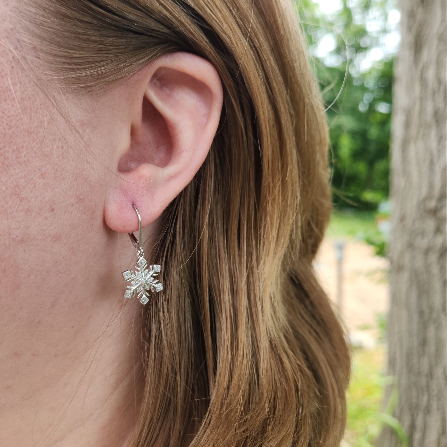 Wintry Snowflakes