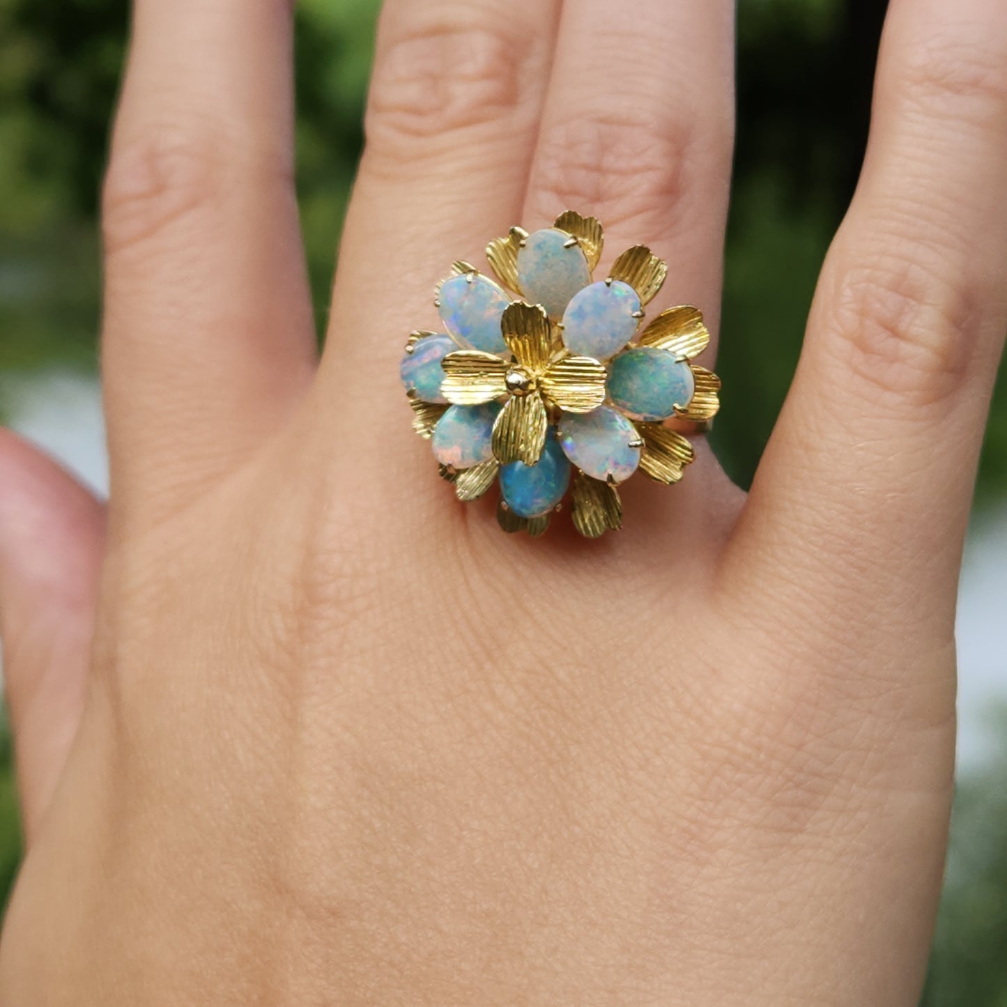 Opals in Bloom