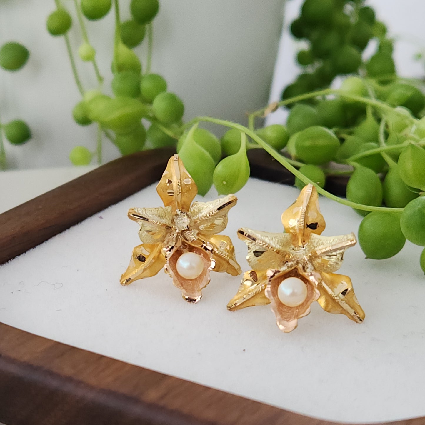 Orchid Lovers Blooms