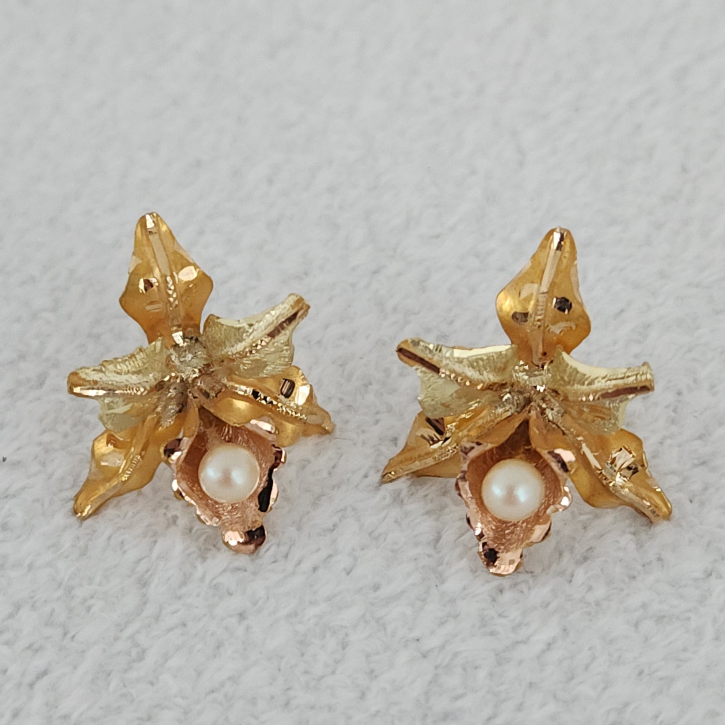 Orchid Lovers Blooms