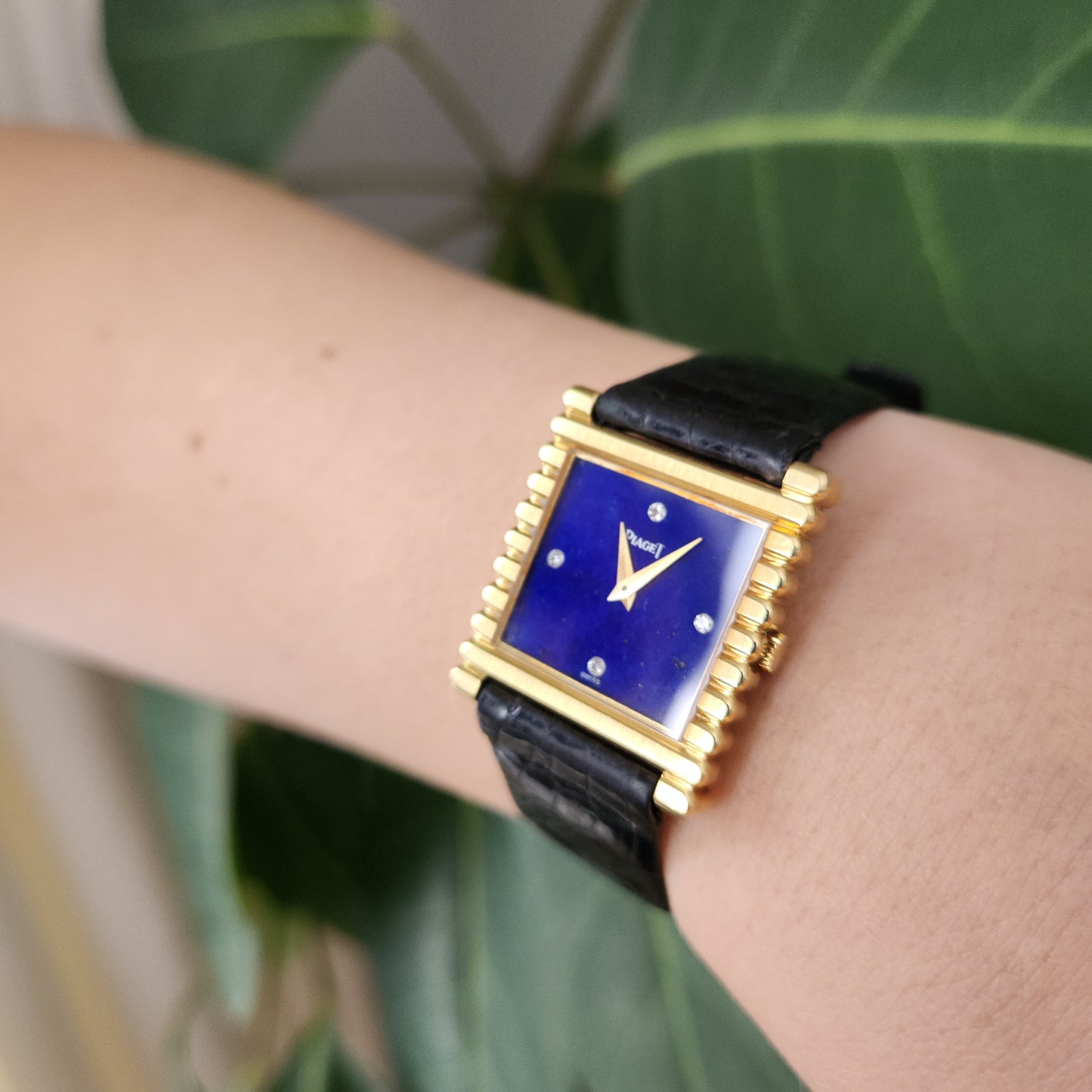 Piaget Bamboo