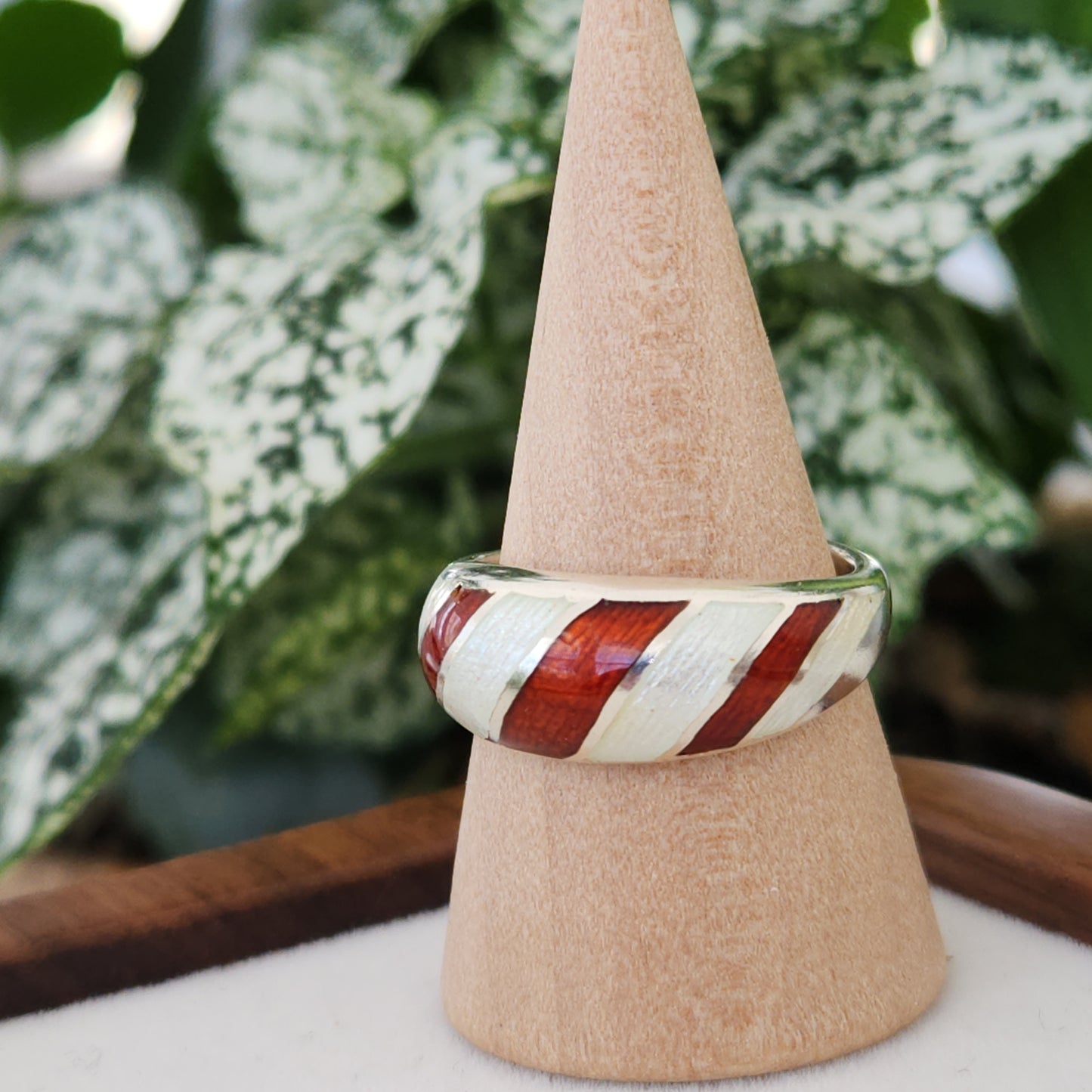 The Candy Stripe Countess