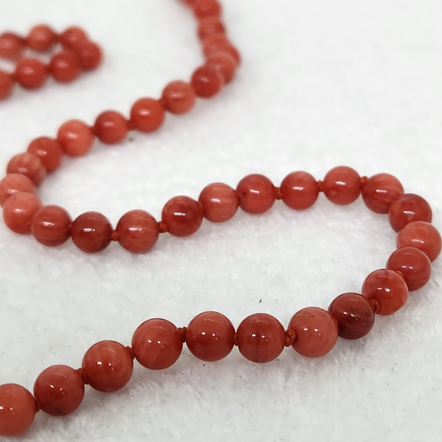 Red Tide