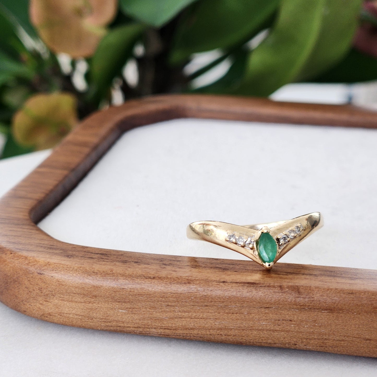 Chevron Dreams