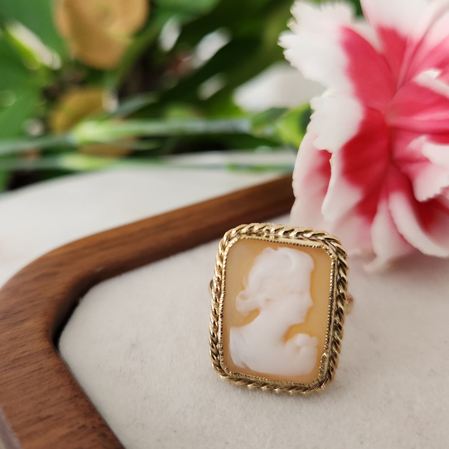 Shell Cameo - Circa 1910-1930