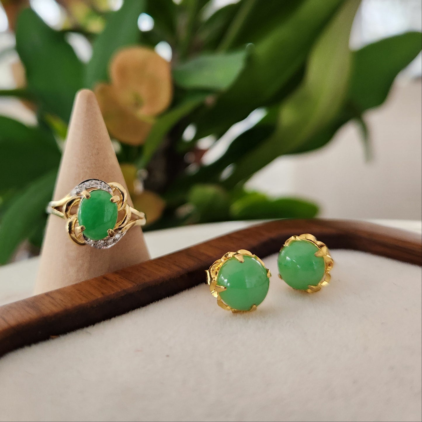 Jadeite Set