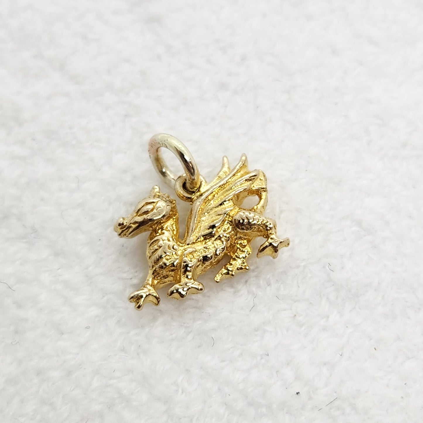 Y Ddraig Goch