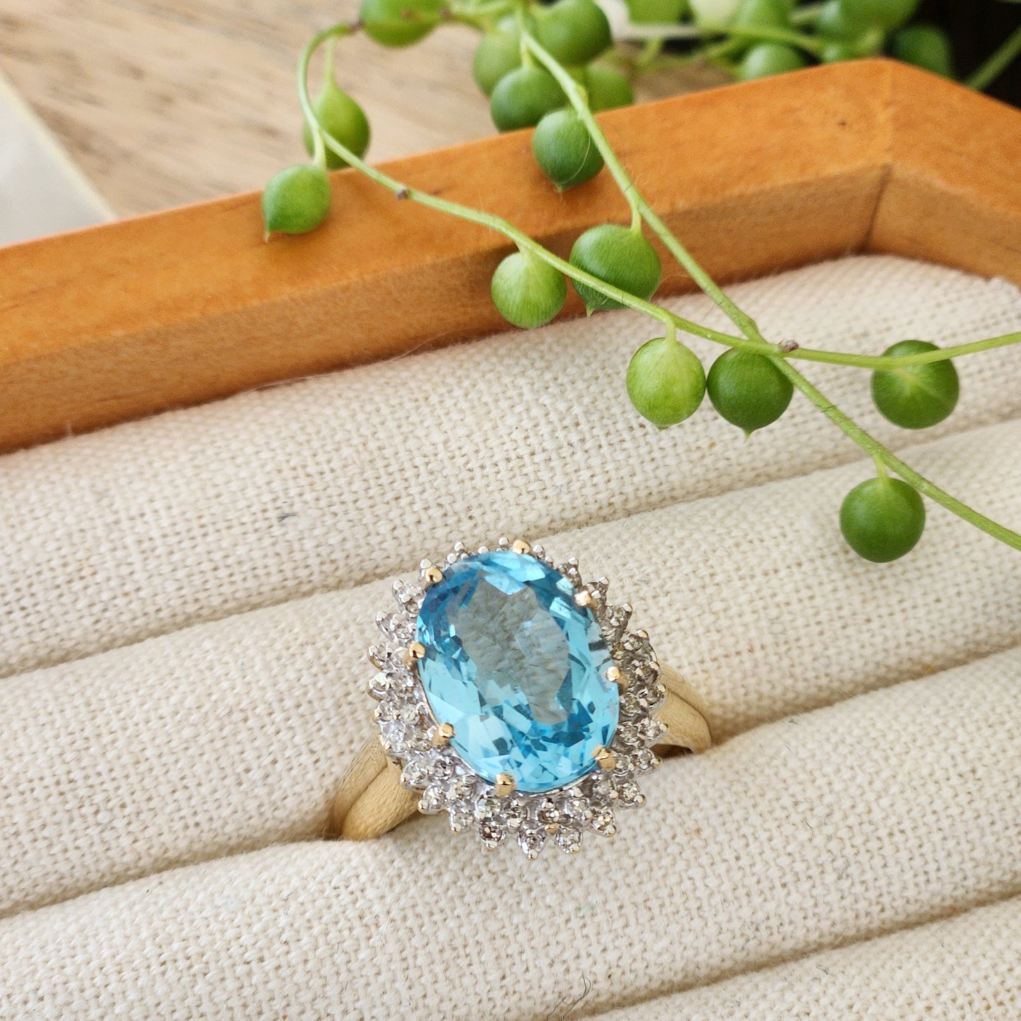 Blue Halo