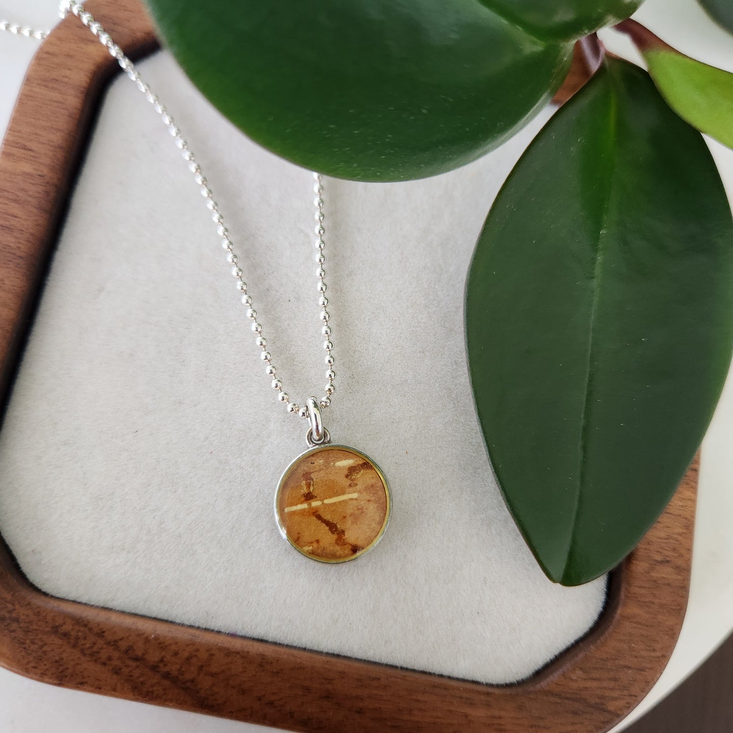 Circle and Coin Duo