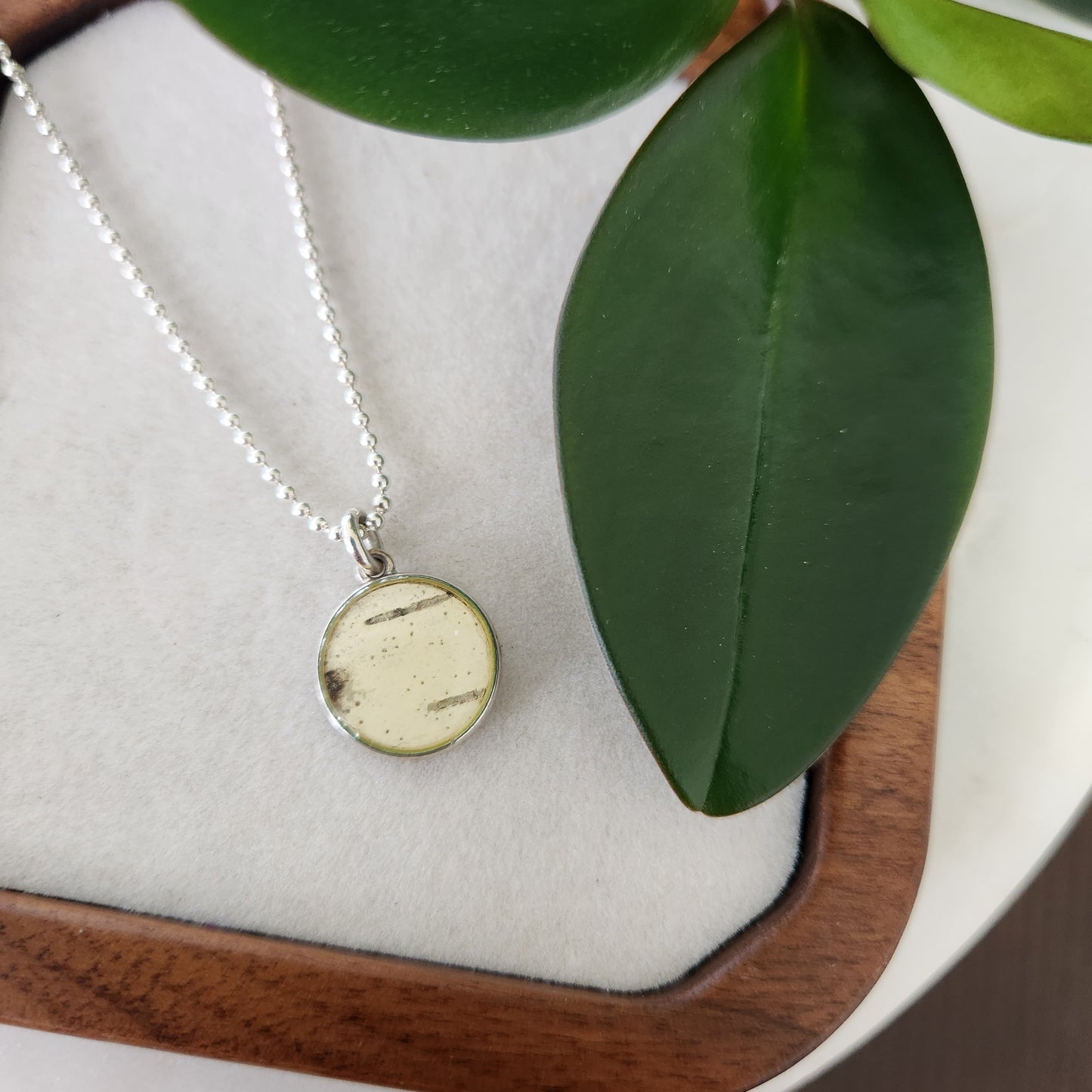 Circle and Coin Duo