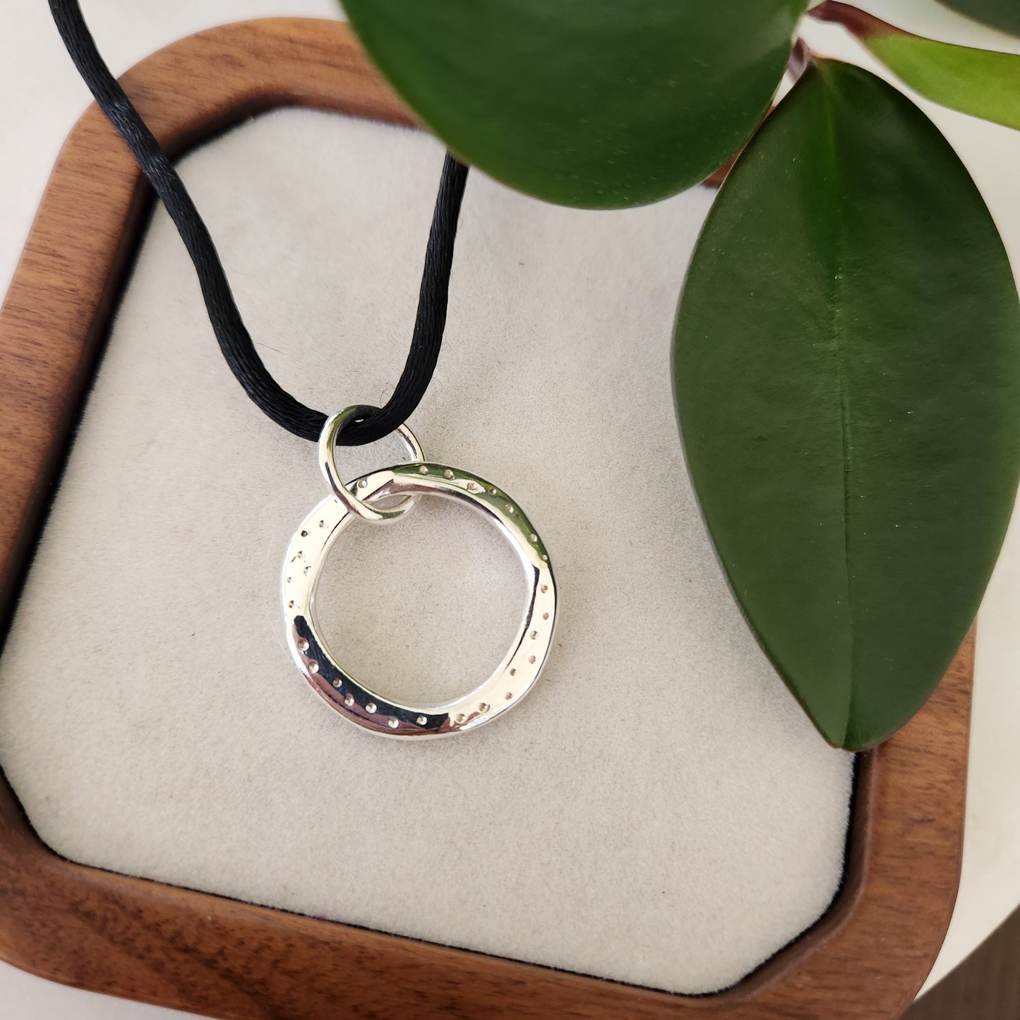 Circle and Coin Duo