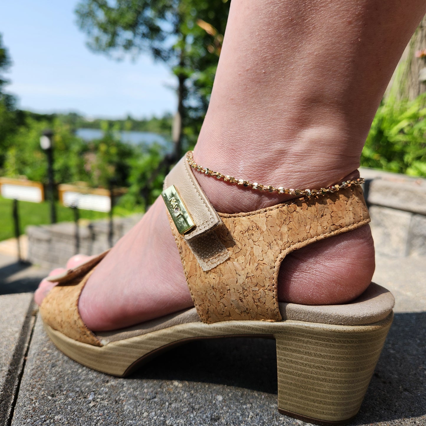 Ankle Season
