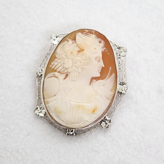 Cameo Appearance