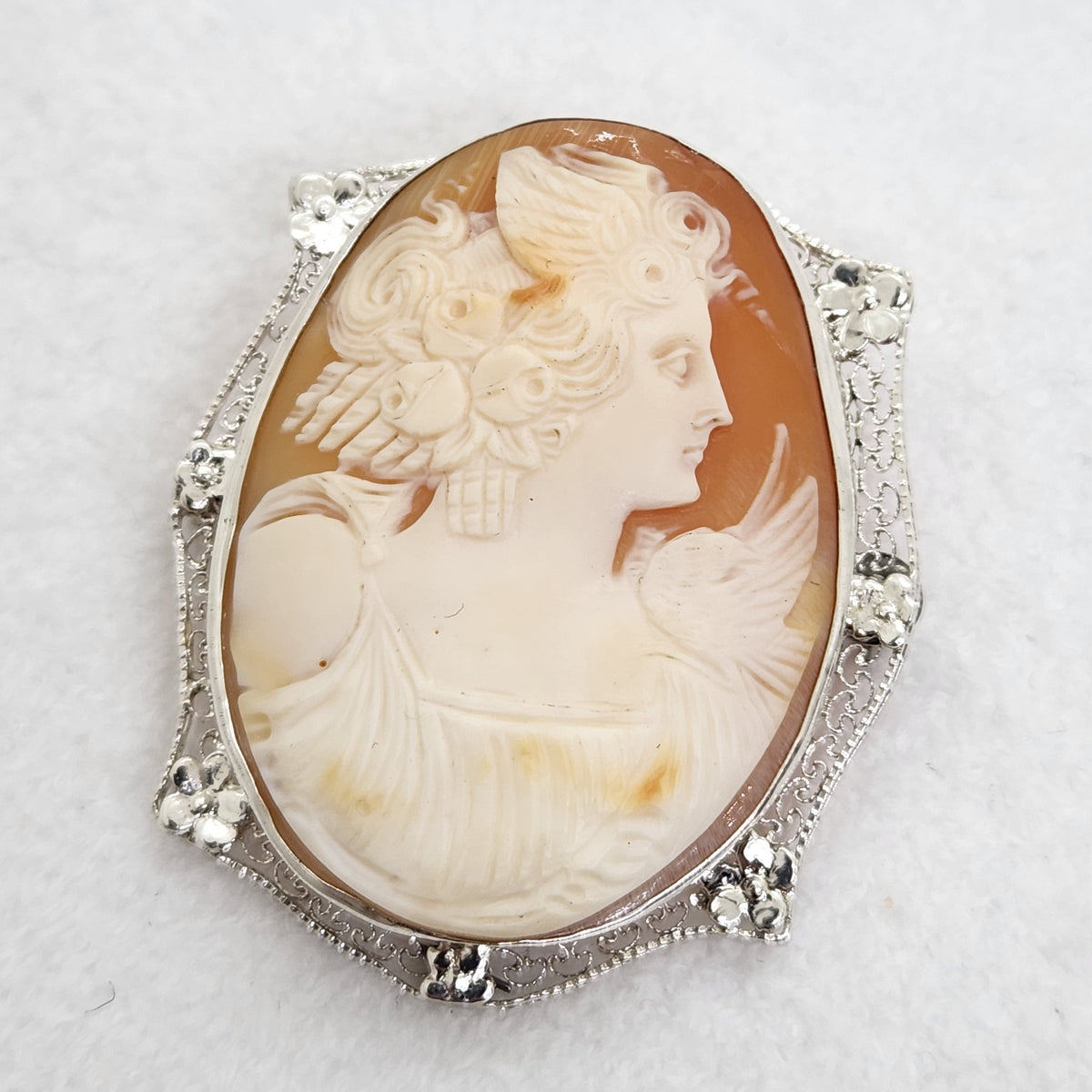 Cameo Appearance