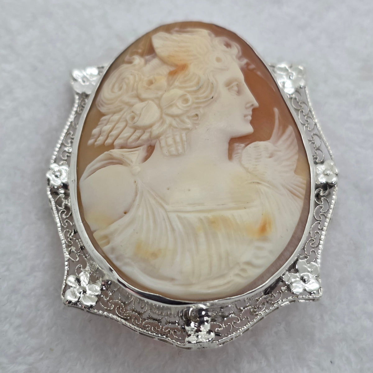 Cameo Appearance