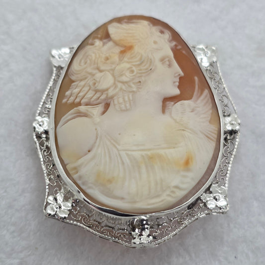 Cameo Appearance
